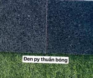 da-den-py-thuan-bong