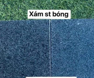 da-xam-st-bong