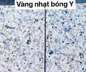da-vang-nhat-bong-y