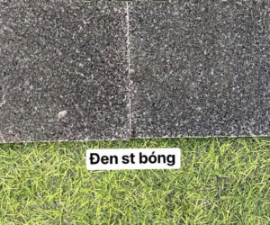 da-den-st-bong