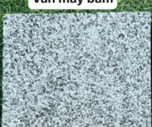 da-van-may-bam