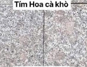 da-tim-hoa-ca-kho