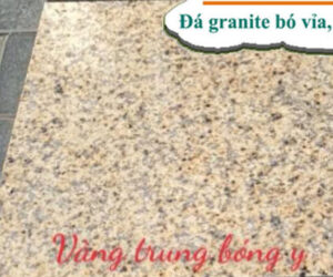 da-vang-trung-bong-Y