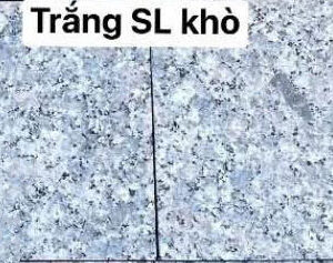da-trang-SL kho