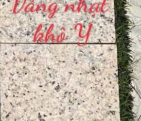 da-vang-nhat-kho-Y