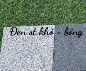 da-den-st-kho-bong