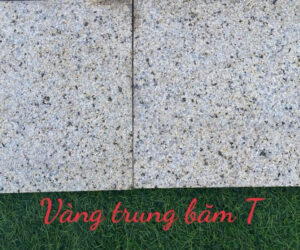 da-vang-trung-bam-T