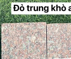 ung-dung-da-lat-loi-di-san-vuon