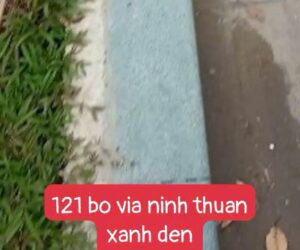 đá bó vỉa bình định