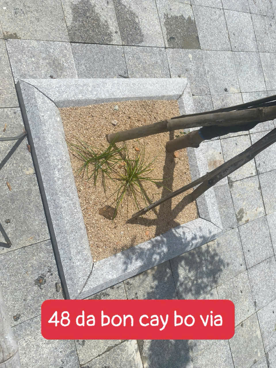 Đá Bó Vỉa Bồn Cây 48